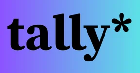 Tally - GOOGLE interface screenshot